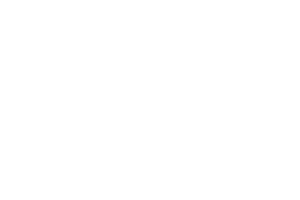 Spring-boot framework logo