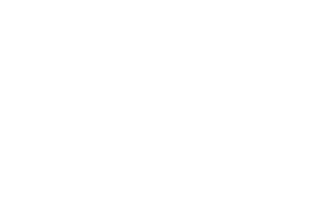 Spring framework logo